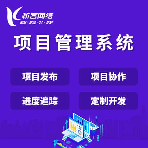 台中项目管理系统