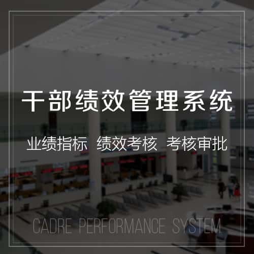 台中干部绩效管理