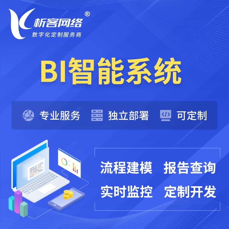 台中BI智能系统 | BI数据可视化
